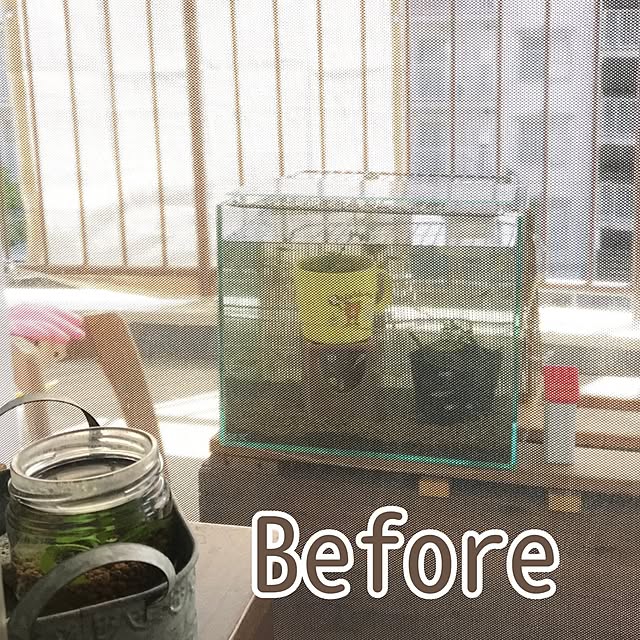 mi-saさんの部屋