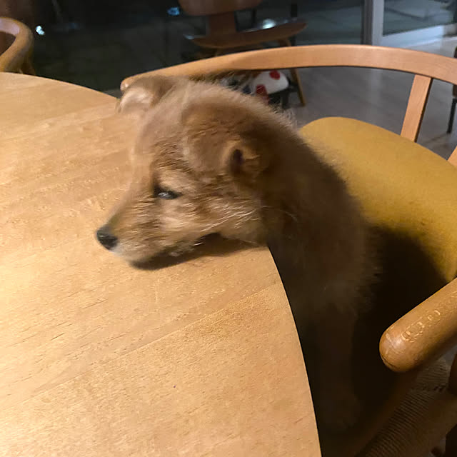 Yoheiさんの部屋