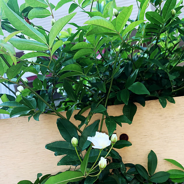 KYONさんの部屋
