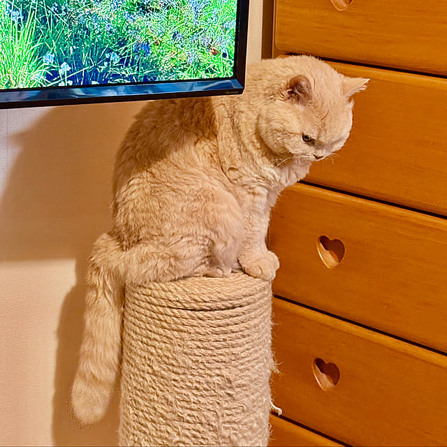 naokoさんの部屋