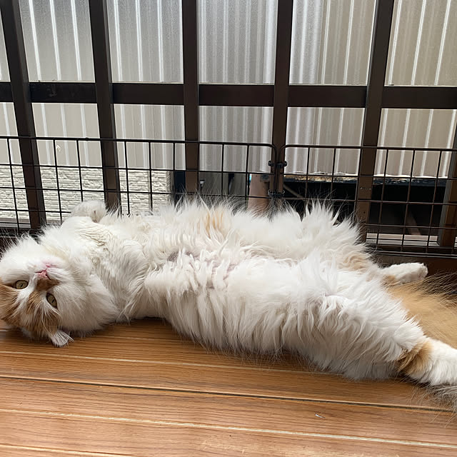 keiさんの実例写真