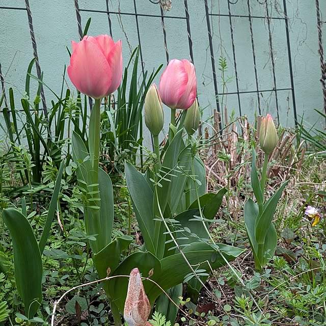 Rさんの実例写真