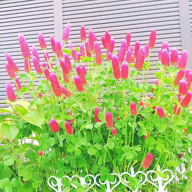 Miyumamaさんの部屋
