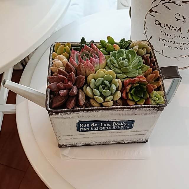 annaさんの部屋