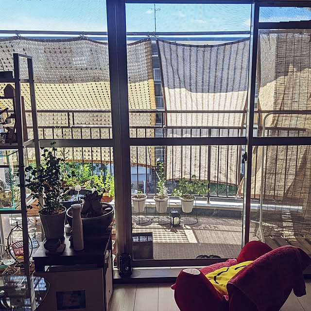 mi-saさんの部屋