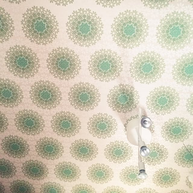cotoriさんの実例写真
