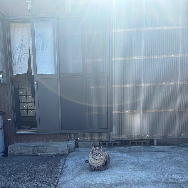 gecfrqxjjotjmdrtbgさんの実例写真