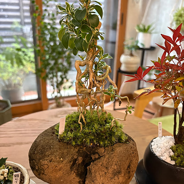 CoffeeHouseさんの部屋