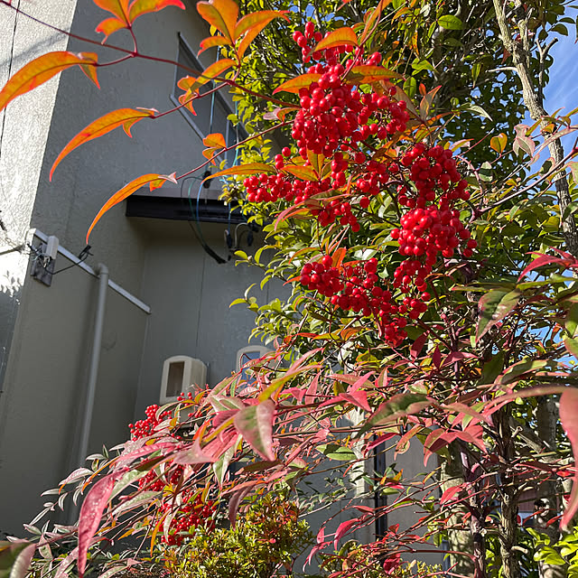 shin0719さんの部屋