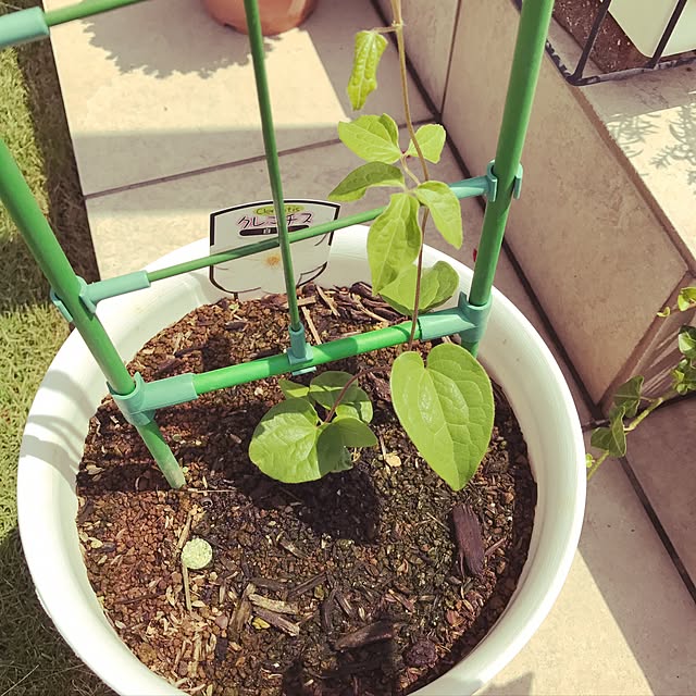 Cocoaさんの実例写真