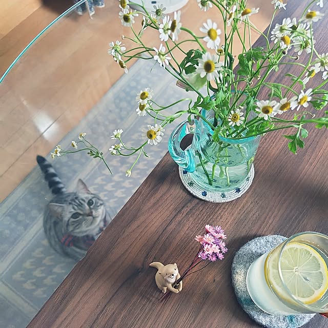 hiro3さんの実例写真