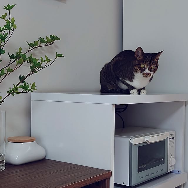 nachiさんの部屋