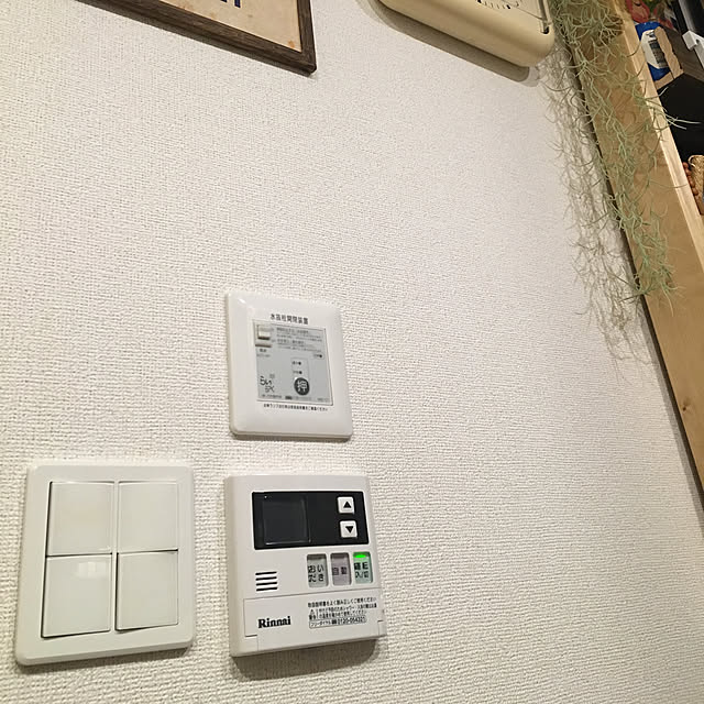 tetra163さんの実例写真