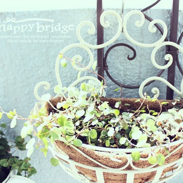 happy_bridgeさんの実例写真