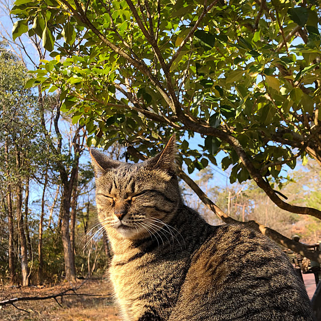 weさんの実例写真