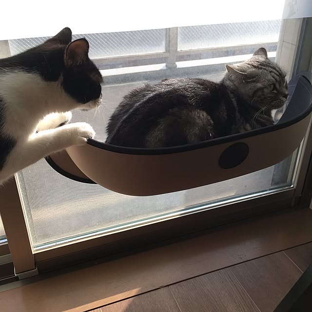 mikomaruさんの実例写真