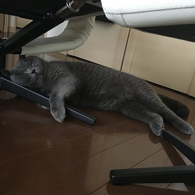 kittyさんの実例写真