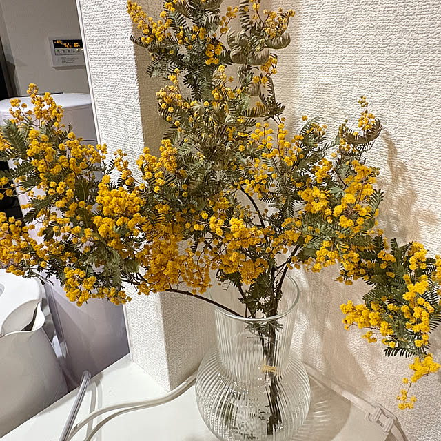 Hachiさんの部屋