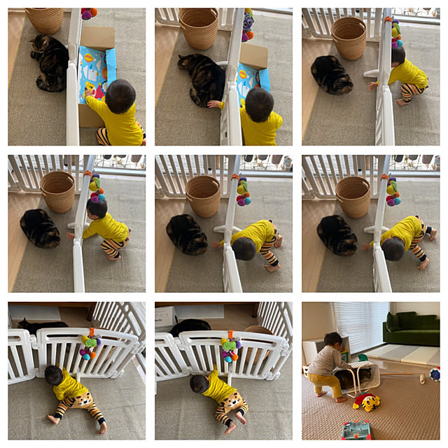 mikomaruさんの実例写真