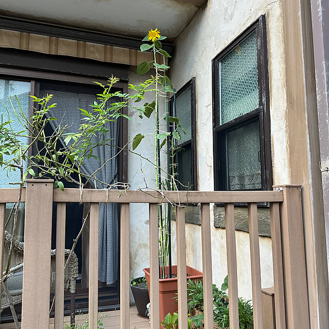 tabasaさんの部屋