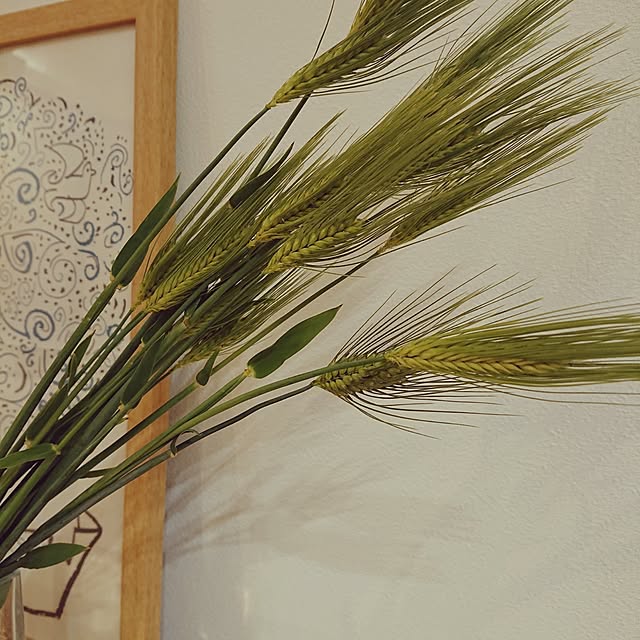 otokiさんの部屋