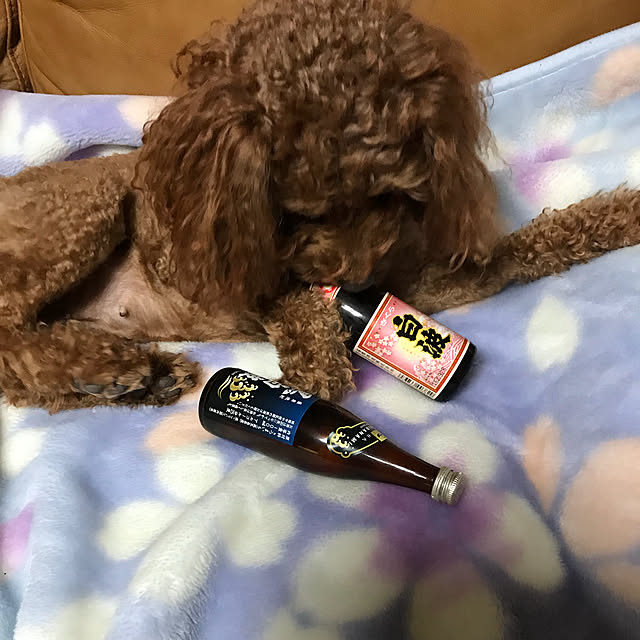 hiro.tさんの実例写真
