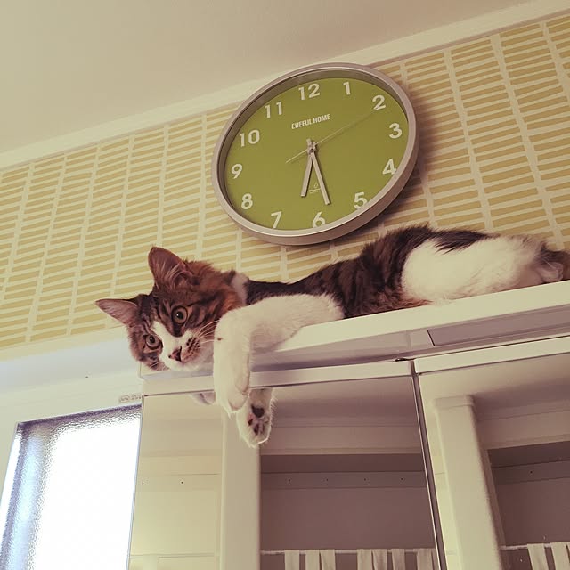 m0m0necさんの実例写真