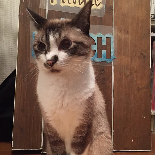 bowbowcoさんの実例写真