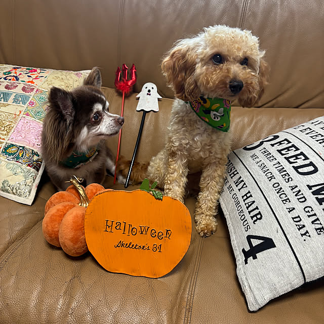 chIoeさんの部屋