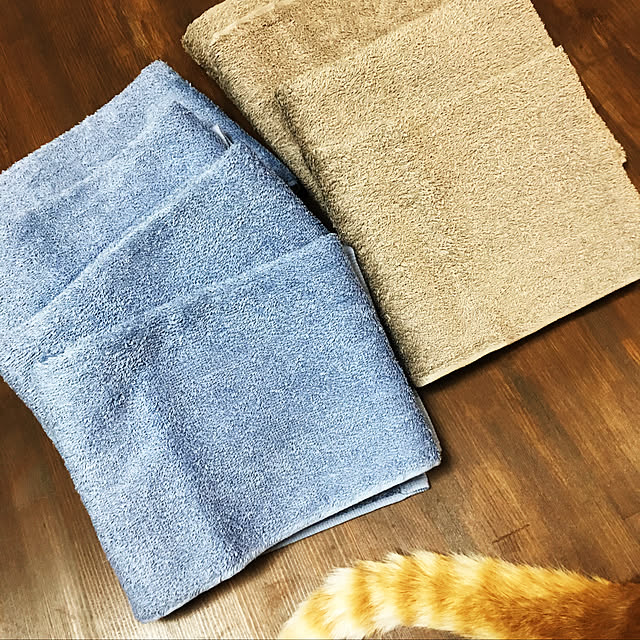 87caminさんの実例写真