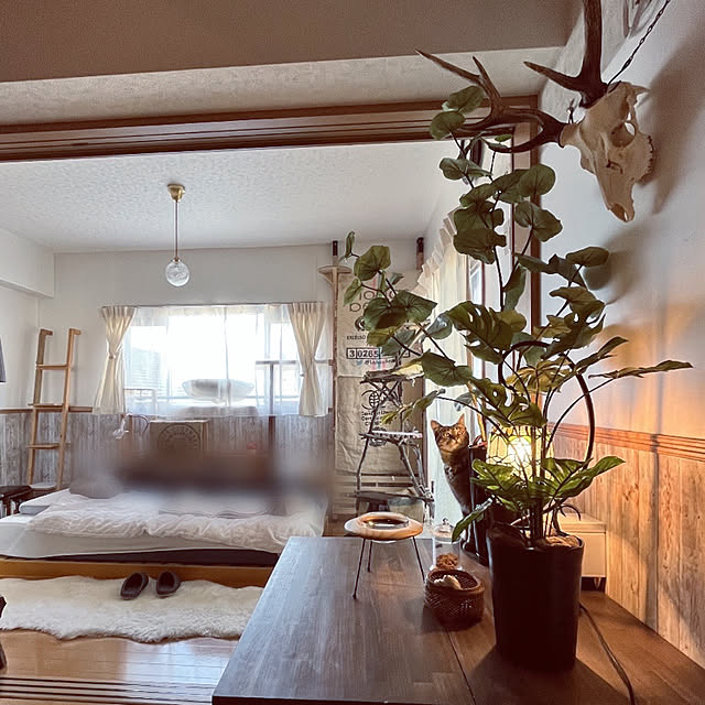 Mさんの実例写真