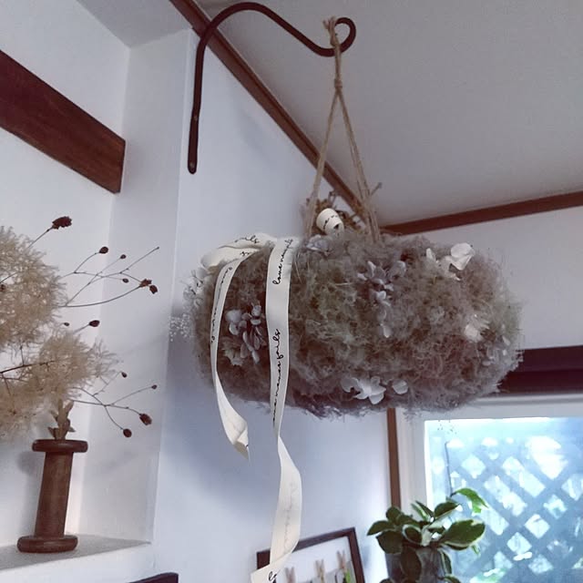 koyutan-mjmさんの部屋