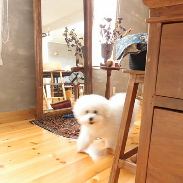 musaさんの実例写真
