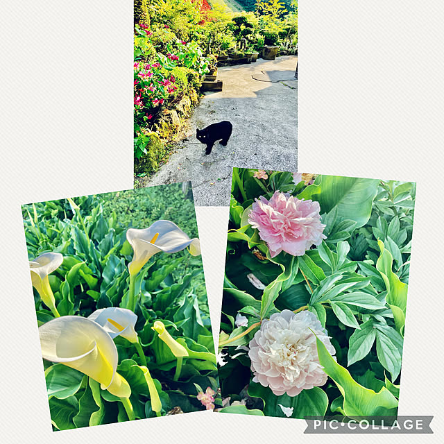 CoCo0617さんの実例写真