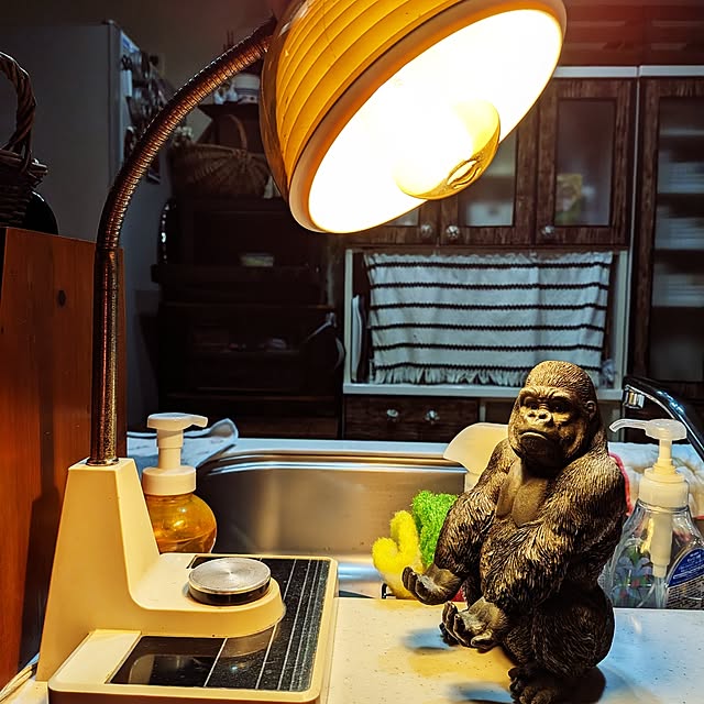 umeboshicyanさんの実例写真