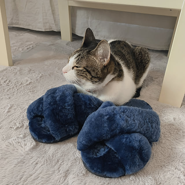 Shihoさんの実例写真