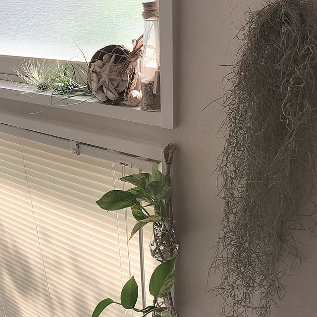 moon.mさんの実例写真