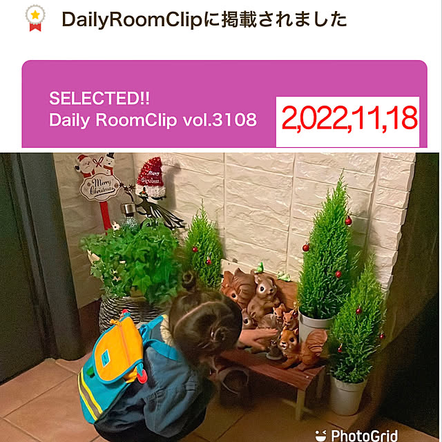 miyuさんの実例写真