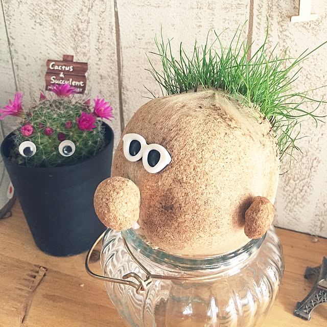 mamさんの実例写真