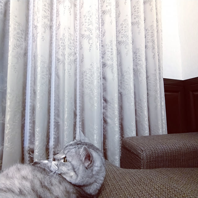 izuさんの実例写真
