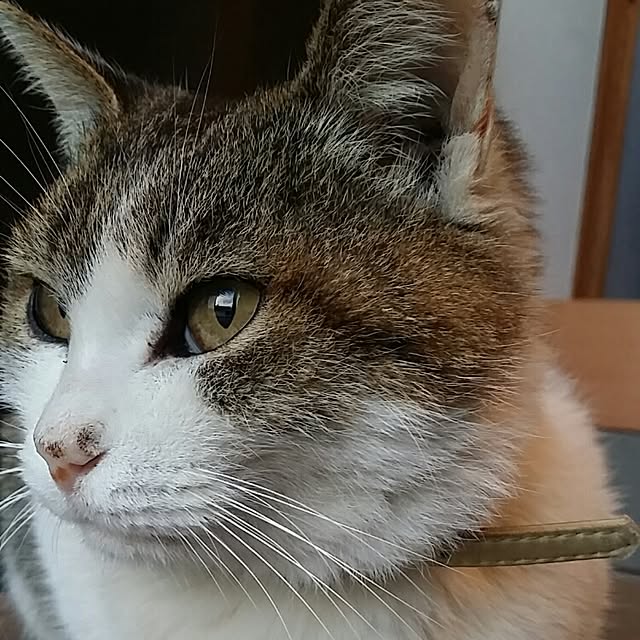 lemoned1126さんの実例写真
