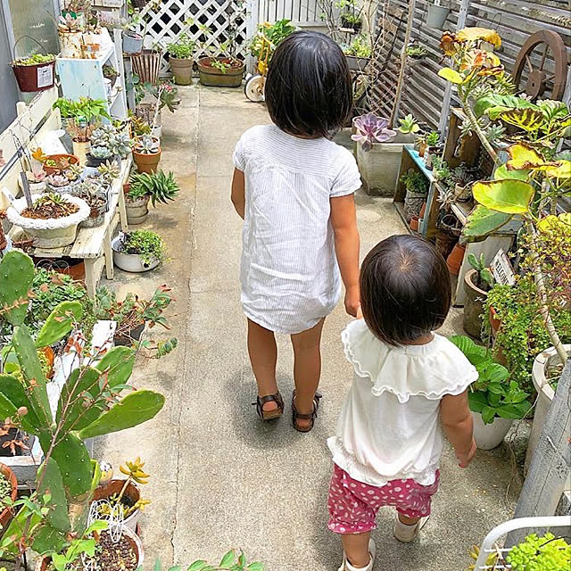coraruさんの実例写真
