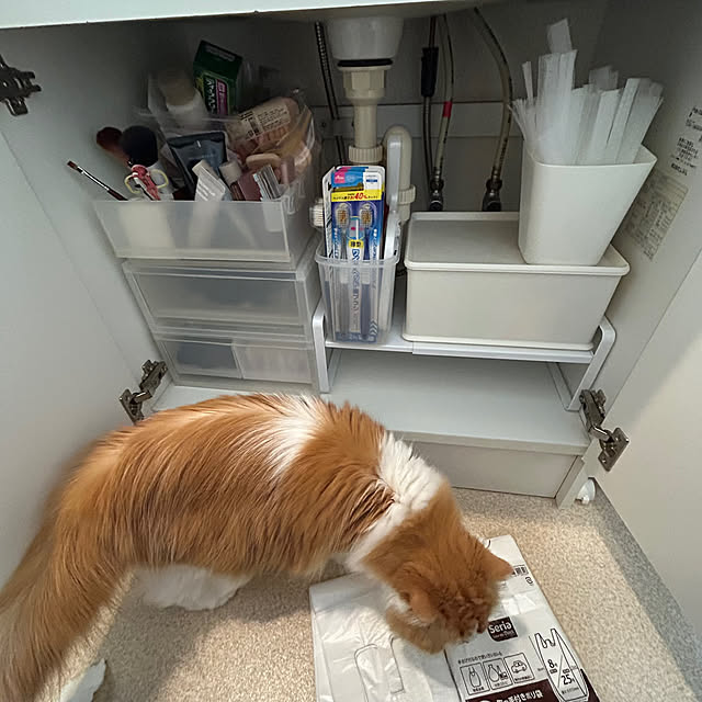 H.Tさんの実例写真