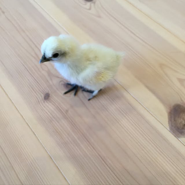unataroさんの実例写真