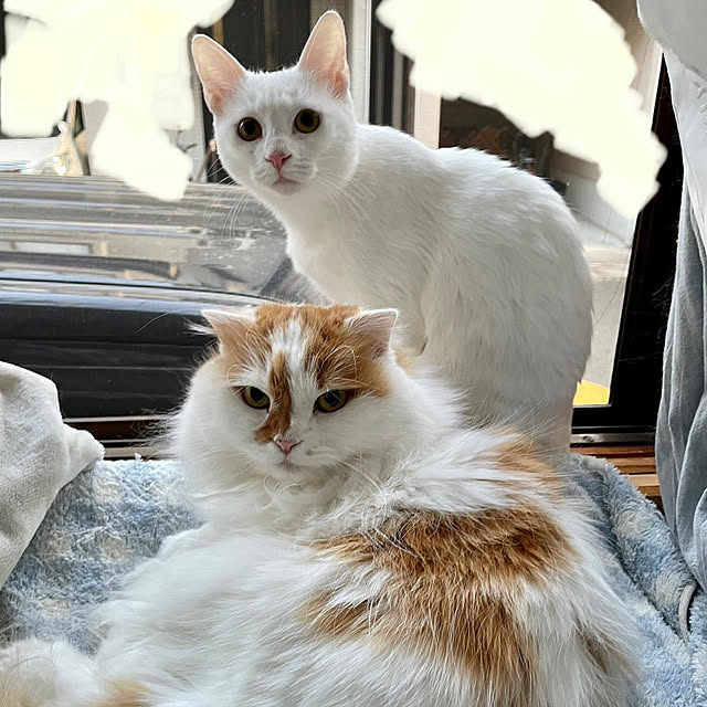 keiさんの実例写真