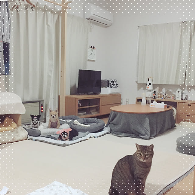 Emiさんの実例写真