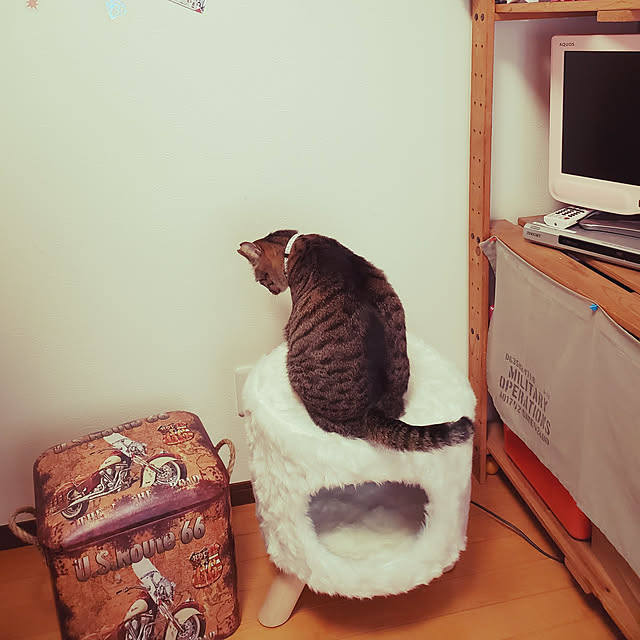 Atsumiさんの実例写真