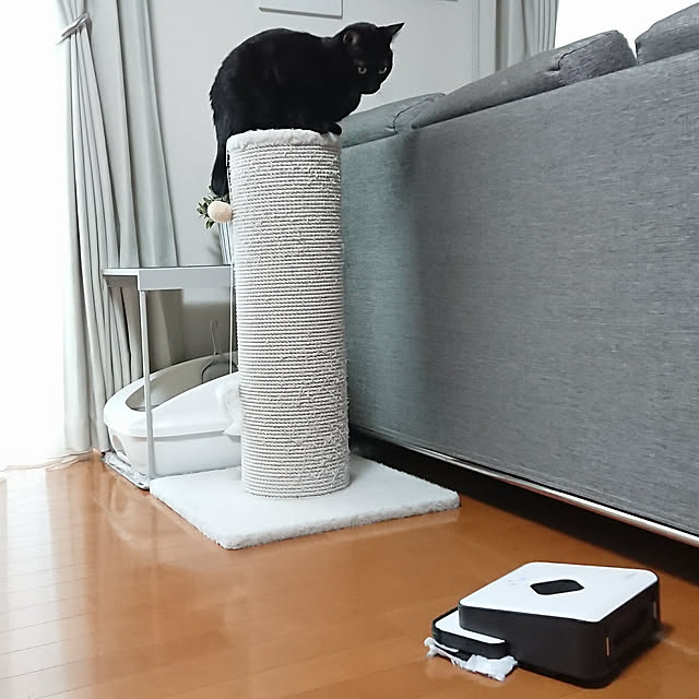 maikyさんの実例写真