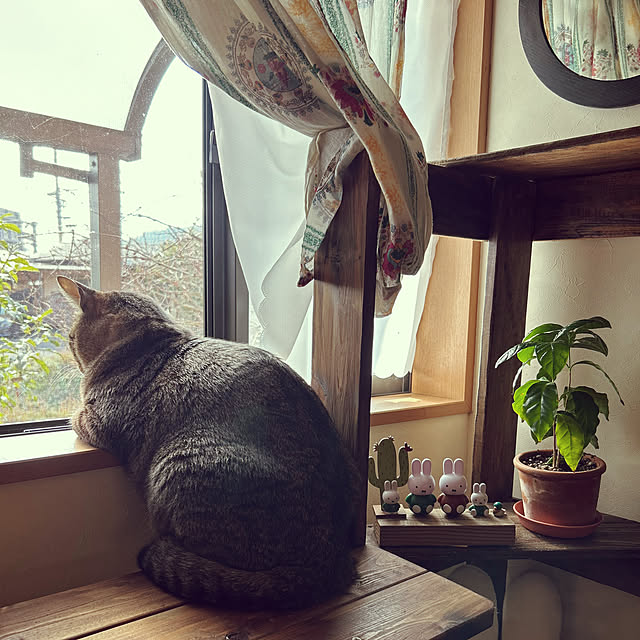 mikan161さんの実例写真
