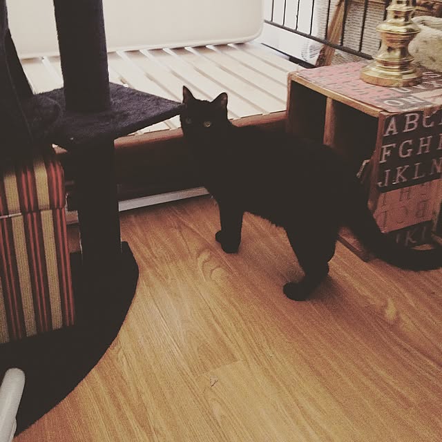 Naoki.さんの実例写真